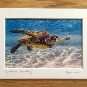 Snorkel Buddy - Turtle Wall Decor, Hawaii Turtle, Turtle Metal Wall Art, Turtle Lover Gift, Sea Turtle Gifts, Turtle Decor
