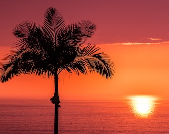 Hawaii Sunset with Palm Tree - Hawaii Sunset Wall Art, palm tree art, Kona sunset