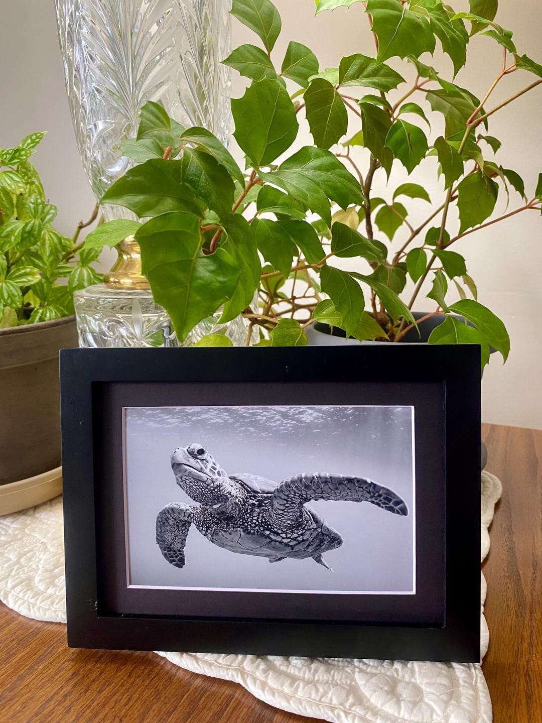 Turtle Notan Turtle in Black and White - Hawaii Turtle Photography, Turtle Wall Art ...