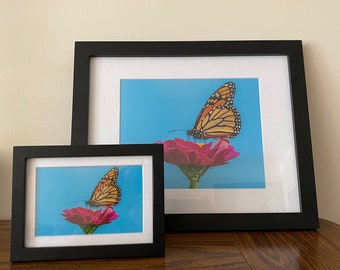 Monarch Butterfly on Pink Zinnia - Butterfly Wall Decor, Butterfly Metal Wall Art, Butterfly Lover Gifts, Butterfly Gifts, Butterflies