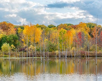 Fall Colors over Water - digital download, digital photo, wall art, photography, printable art, tree art, autumn art, fall art