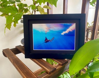Razza maculata tra le onde - Arte murale della fauna selvatica delle Hawaii, arte oceanica, arte subacquea