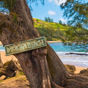Moloaa Beach - Beach art, beach scenery, beach signs