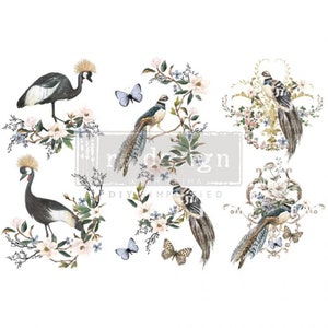 Rare Birds Re-Design Transfer - FREE SHIPPING ELIGIBLE, furniture transfer, rub on decal, furniture decal, 6&quot; x 12&quot; 3 sheets, Bird Prints