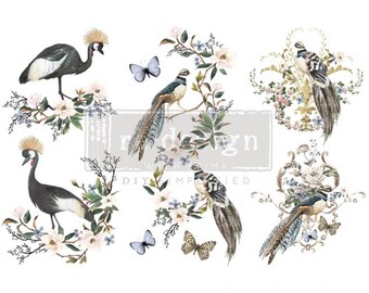 Rare Birds Re-Design Transfer - FREE SHIPPING ELIGIBLE, furniture transfer, rub on decal, furniture decal, 6" x 12" 3 sheets, Bird Prints