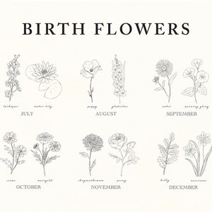 May include: A black and white illustration of birth flowers for each month of the year. The flowers are drawn in a simple, elegant style. The months are listed below each flower, along with the name of the flower.