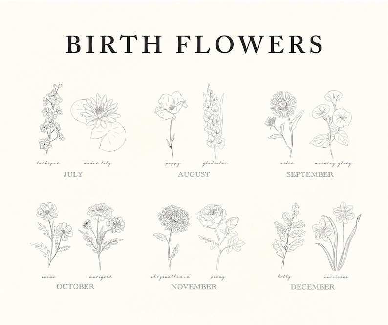 May include: A black and white illustration of birth flowers for each month of the year. The flowers are drawn in a simple, elegant style. The months are listed below each flower, along with the name of the flower.