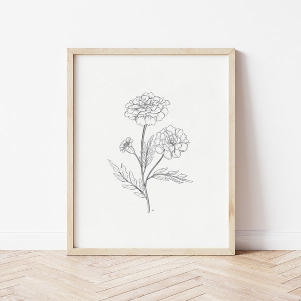 Marigolds Drawing | Marigold Print | Floral Drawing | Pencil Drawing | Printable Wall Art | Flower Print | October Birth Flower Art