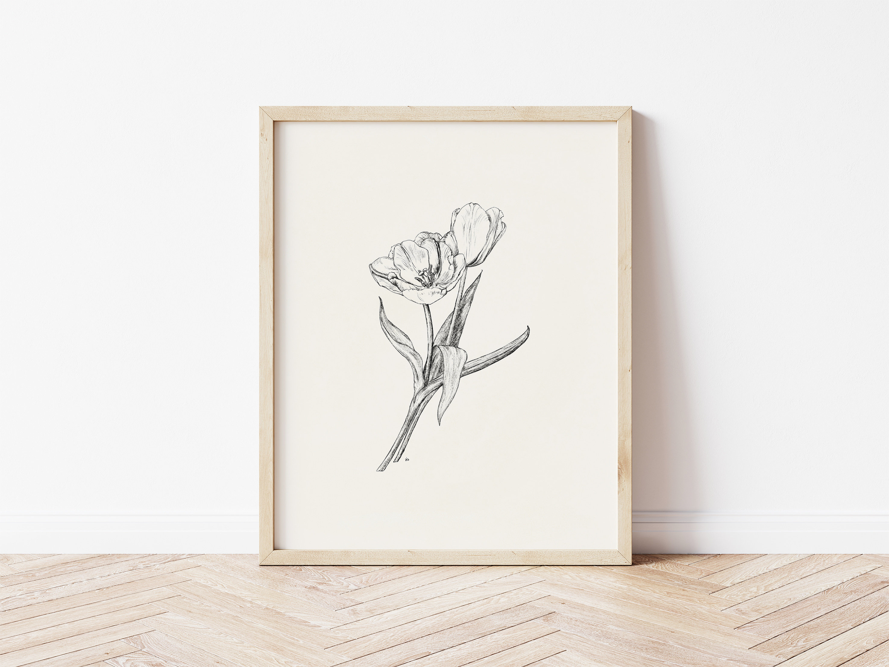 Tulip Botanical Print Tulip Fine Art Print Floral Line | Etsy