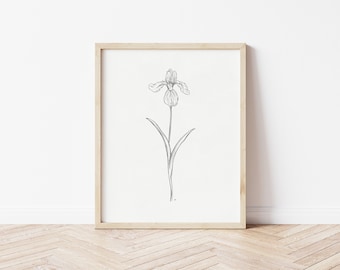 Iris Skizze | Iris Poster | Botanische Kunst | Bleistift Zeichnung | Druckbare Wandkunst | Blumen Kunst | Blumendruck | Iris Zeichnung | Februar Print