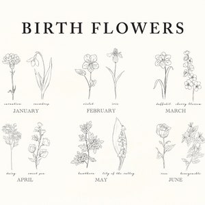 May include: A black and white illustration of birth flowers for each month of the year. January: carnation and snowdrop. February: violet and iris. March: daffodil and cherry blossom. April: daisy and sweet pea. May: hawthorn and lily of the valley. June: rose and honeysuckle.