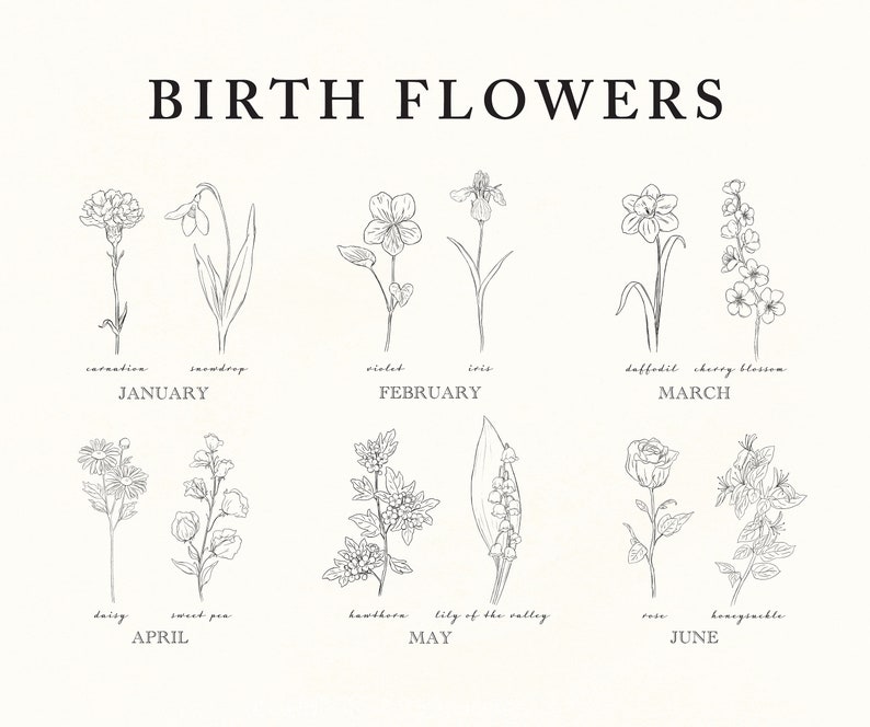 May include: A black and white illustration of birth flowers for each month of the year. January: carnation and snowdrop. February: violet and iris. March: daffodil and cherry blossom. April: daisy and sweet pea. May: hawthorn and lily of the valley. June: rose and honeysuckle.