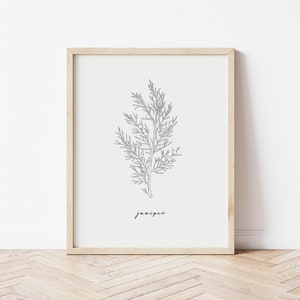 Juniper Wall Art, Juniper Illustration, Christmas Tree Printable Art, Juniper Branch, Holiday Wall Prints, Juniper Print