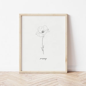 Poppy Print Poppies Botanical Art Poppy Drawing Poppy Art Printable Wall Art Flower Print Pencil Art Print Poppy Line Art image 1