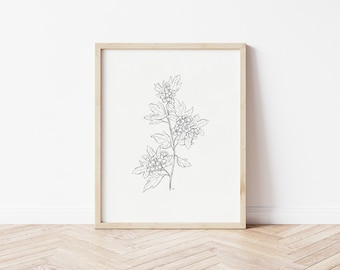 Boceto de espino / Impresión de espino / Arte botánico / Dibujo a lápiz / Arte mural imprimible / Impresión floral / Dibujo de espino / Flor de nacimiento de mayo