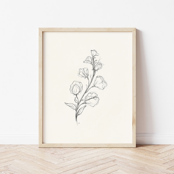 Antique Sweet Pea Sketch | Sweet Peas | Botanical Art | Pencil Drawing | Printable Wall Art | Flower Art | Floral Print | Sweet Pea Drawing