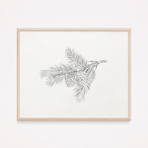Pine Tree Artwork, Pine Tree Print, Winter Tree Print, Pine Tree Wall Decor, Printable Wall Art Holiday, Pine Tree Art Print