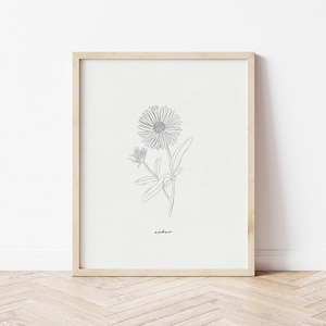 Aster Line Art | Aster Botanical Art | Floral Drawing | Pen Drawing | Printable Art | Flower Print | Aster Print | September Birth Flower