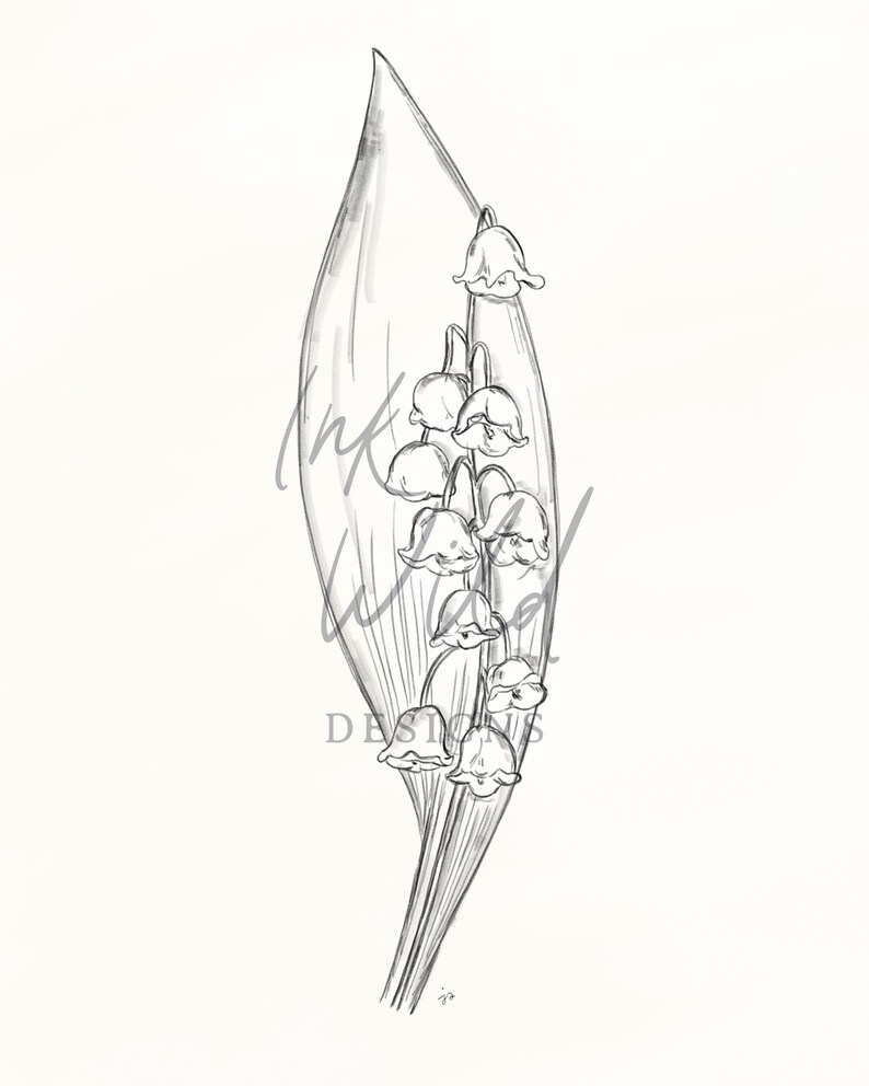 May include: A black and white line drawing of a lily of the valley flower with a single leaf.