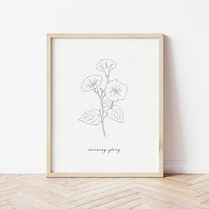 Morning Glory Line Art | September Birth Flower | Floral Art | Flower Print | Minimal Art Print | Botanical | Botanical Art | Morning Glory