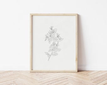 Honeysuckle Art, Honeysuckle Line Art, Honeysuckle Print, Botanical Line Sketch for Bedroom, Flower Print Black and White