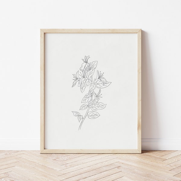 Honeysuckle Art, Honeysuckle Line Art, Honeysuckle Print, Botanical Line Sketch for Bedroom, Flower Print Black and White