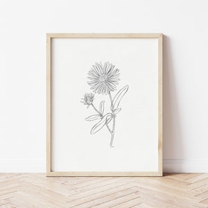 Aster Sketch Print | Aster Drawing | Floral Drawing | Pencil Drawing | Printable Wall Art | Flower Print | September Birth Flower | Aster