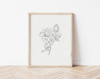 Impresión artística de rosas / Arte botánico de rosas / Dibujo floral / Dibujo a lápiz / Arte mural imprimible / Impresión de flores / Impresión artística a lápiz / Boceto de rosas