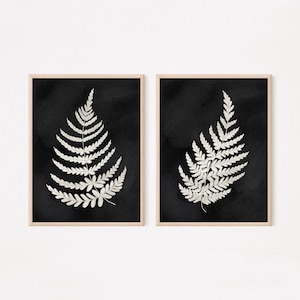 Botanical Prints on Black Background, Botanical Prints Ferns, Botanical Prints Set of 2, Farmhouse Prints Set, Fern Print Set, Fern Art Work