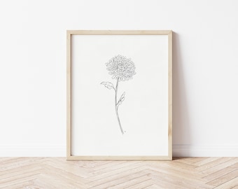 Chrysanthemum Drawing | Chrysanthemum Print | Floral Drawing | Pencil Sketch | Printable Wall Art | Flower Print | November Birth Flower Art