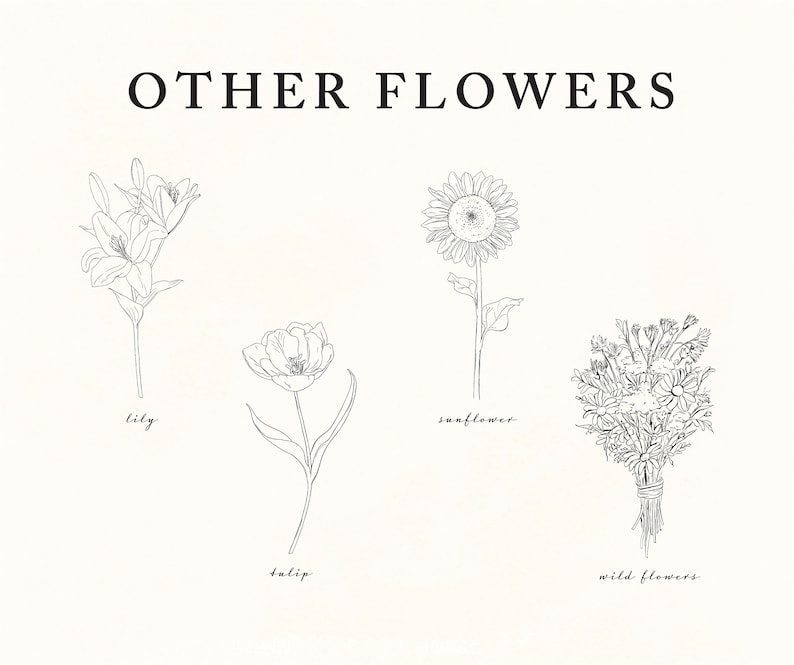 May include: Line drawing illustrations of four different types of flowers: a lily, a tulip, a sunflower, and a bouquet of wild flowers. The text "OTHER FLOWERS" is at the top of the image.