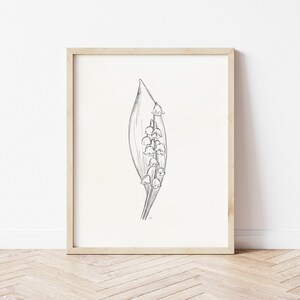 May include: A black and white line drawing of a lily of the valley flower in a simple frame.
