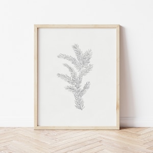 Fir Tree Art, Fir Tree Print, Holiday Prints Vintage, Fir Print, Tree Wall Art Large, Holiday Wall Art Printable, Winter Tree Print