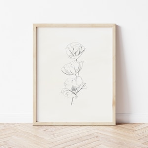 Poppy Art Print | Poppies Botanical Art | Floral Drawing | Pencil Drawing | Printable Wall Art | Flower Print | Pencil Art Print | Poppy Art