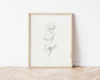 Poppy Art Print | Poppies Botanical Art | Floral Drawing | Pencil Drawing | Printable Wall Art | Flower Print | Pencil Art Print | Poppy Art