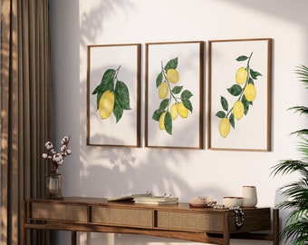 Lemon Wall Art Set of 3, Lemon Kitchen Print, Fruit Print Download, Citrus Art Print, Fruit Prints Vintage, Lemon Print Digital Download