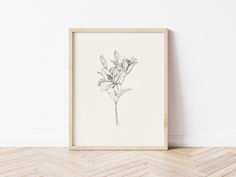 Lily Art Print, Flower Drawing Print, Floral Prints Wall Art Download, Lily Print, Flower Print Nursery, Girls Bedroom Artwork, Tiger Lily image 1