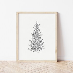 Spruce Wall Art, Spruce Tree Downloadable, Sketch Art Printable, Christmas Tree Download, Winter Tree Print, Neutral Christmas Wall Art