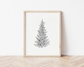 Fichte Wandkunst, Fichte zum Downloaden, Skizze Kunst druckbare, Weihnachtsbaum Download, Winterbaum Print, Neutrale Weihnachtswandkunst