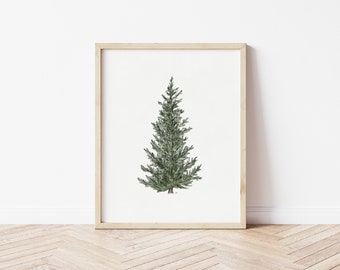 Watercolor Christmas Printable, Spruce Wall Art, Spruce Tree Downloadable, Christmas Tree Watercolor Downloadable, Winter Tree Print