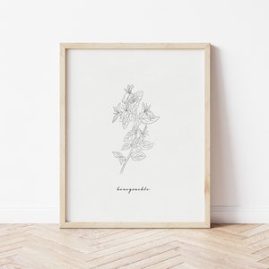 Honeysuckle Art Print | Honeysuckle Line Art | Floral Line Drawing | Printable Wall Art | Botanical Print | Flower Art Print | Botanical Art