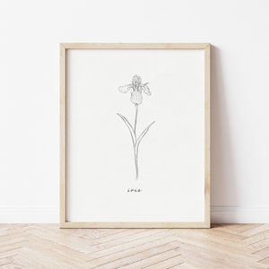 Puede incluir: Un dibujo en blanco y negro de una flor de iris con la palabra "iris" escrita debajo. El dibujo está enmarcado en un marco de madera claro y está colgado en una pared blanca.