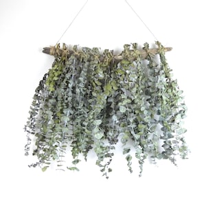 Decoração de parede de eucalipto com madeira flutuante – Decoração boho natural para casa – Eucalipto seco ao ar – Arte de parede rústica feita à mão – Decoração de parede de eucalipto