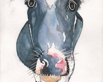 Cow gift card, blank inside, fine art print of original water colour