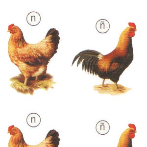 8 pcs x 10 cm.  Ceramic decals. Pattern 70226A/14 Free range chickens scenes ll,m,n,ñ