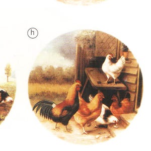 Puede incluir: Una serie de cuatro ilustraciones circulares que representan escenas de granja con gallinas y gallos. Las escenas incluyen gallinas cerca de una estructura de madera, un gallo de pie cerca de una mesa con huevos y gallinas cerca de una puerta de madera.