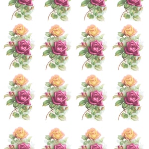 Peut inclure: Un motif répété de roses jaunes et roses avec des feuilles vertes sur un fond blanc.