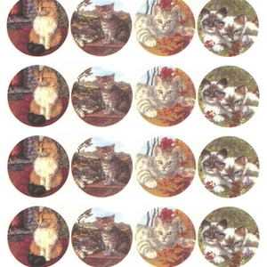 Może przedstawiać: Dwunastu okrągłych naklejek z różnymi obrazami kotów. Każda naklejka ma inne tło, w tym kominek, las i pole jesiennych liści. Koty są w różnych pozach, w tym siedzą, leżą i stoją.