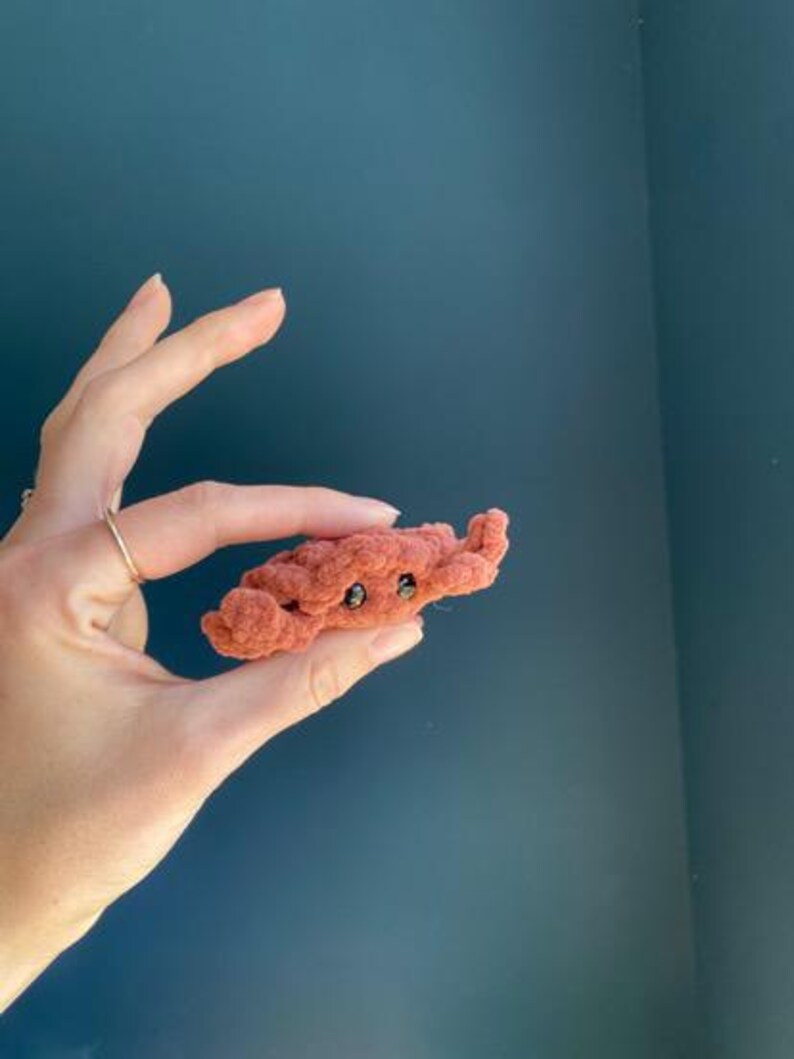 Chippy the Crab: No-sew Crochet Pattern (PDF Pattern) - Etsy