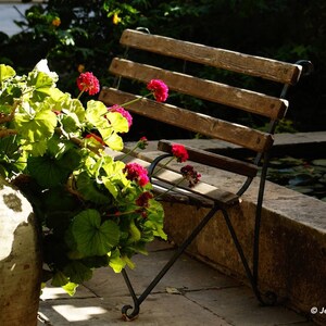 Large wall art print. Bench and sardinella flowers. Summer. Color photography. Mediterranean art. Wall decor.